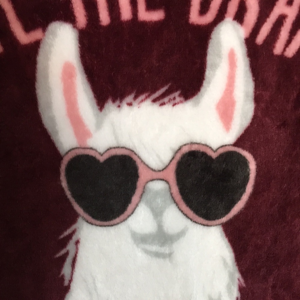 Cold Crush DRAMA LLAMA Soft Cozy Graphic Sweater - Picture 3 of 14